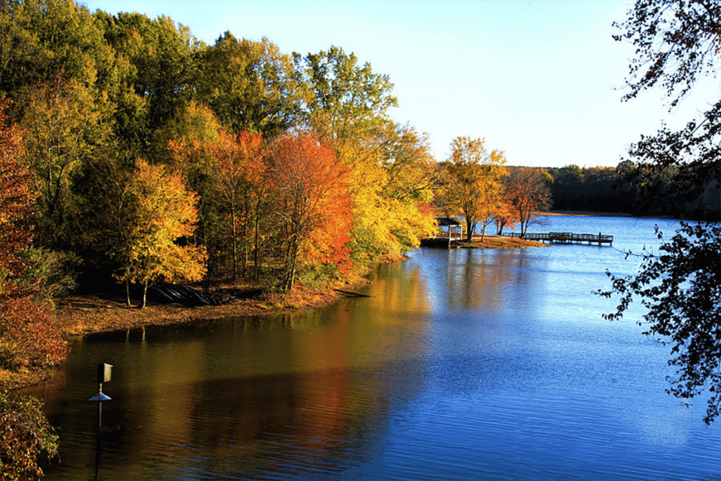 Georgia Lake