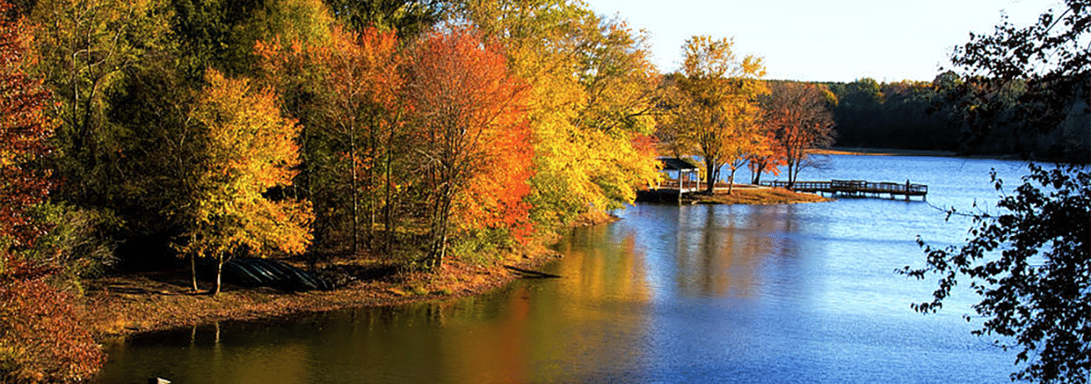 Georgia Lake