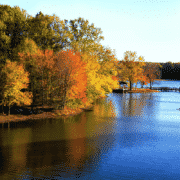 Georgia Lake