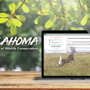 Go Outdoors Oklahoma on laptop