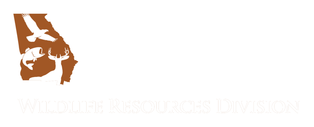 Georgia 