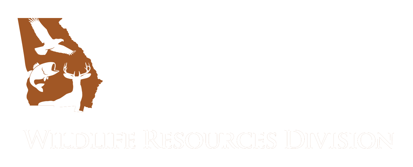 Camping in Georgia State Parks  Department Of Natural Resources Division