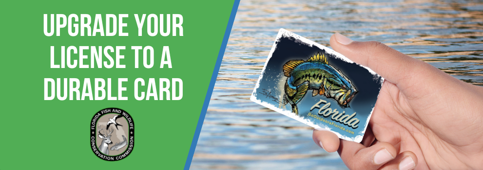 Go Outdoors Florida’s New Hard Cards