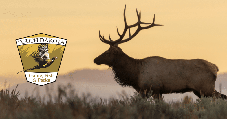 The 2023 South Dakota Elk and Bighorn Sheep Application Period Breaks Records for Second Consecutive Year