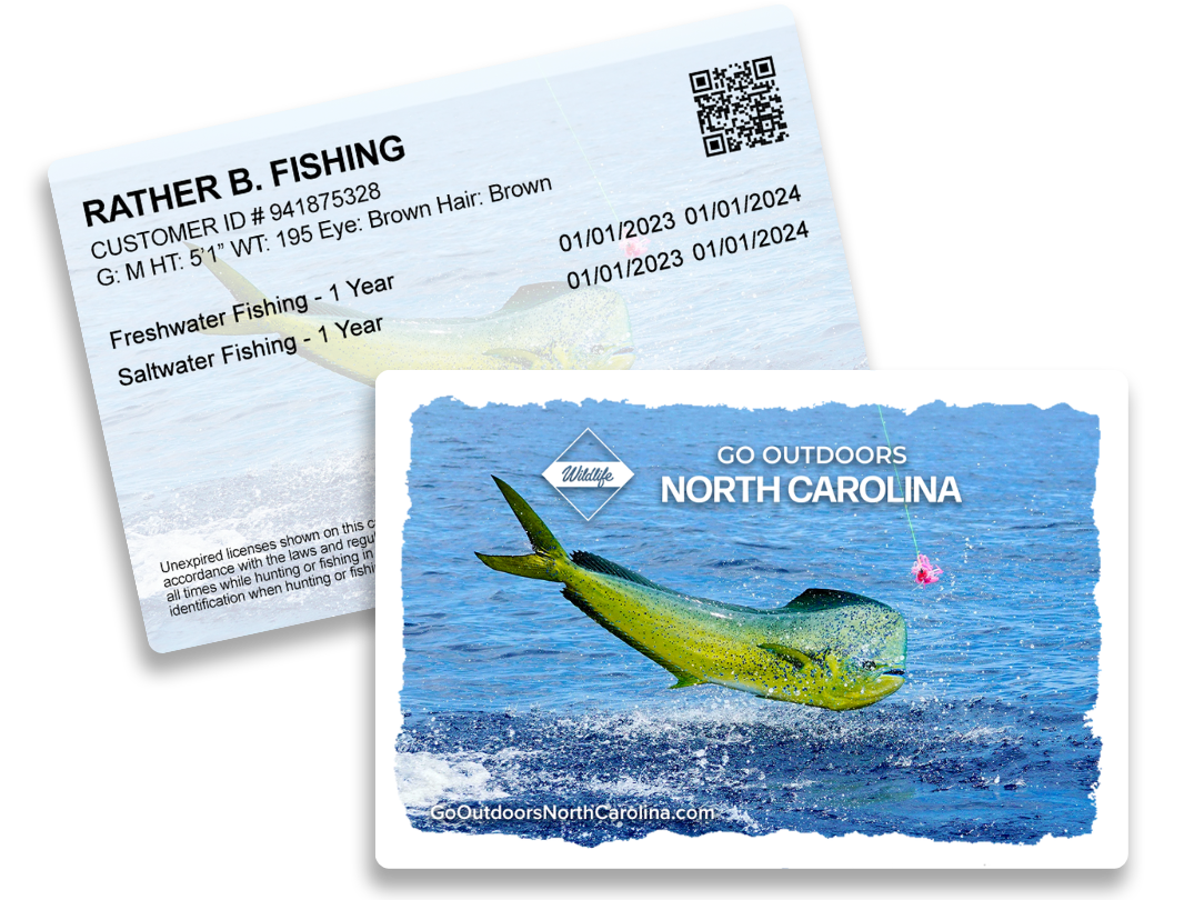 Official South Carolina Fishing and Hunting Licenses