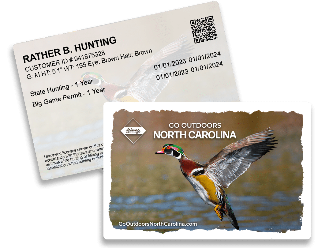 https://www.brandtinfo.com/wp-content/uploads/2023/08/2023-NC-Wood-Duck-Hard-Card-Composite.png