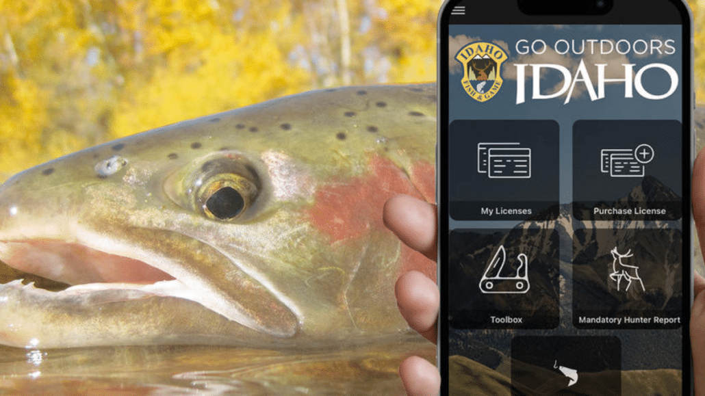 Idaho Fish and Game’s E-tagging for Salmon/Steelhead Is Now Available.
