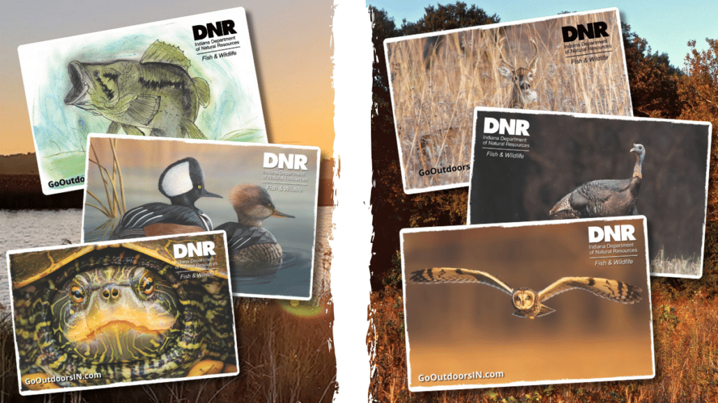 Indiana Division of Fish & Wildlife Public Art Contest Fuels New Customer Management System & Hard Card Excitement
